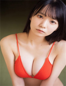 26年